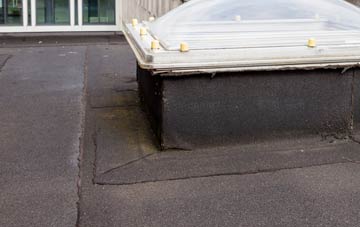 disadvantages of Jameston flat roofs