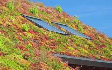 Jameston living roof systems